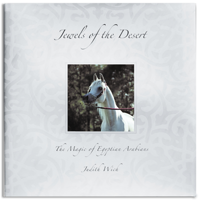 Cover of Jewels of the Desert